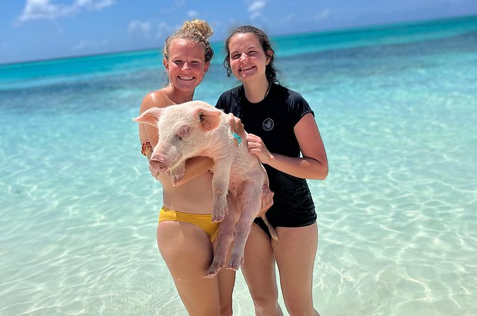 Bahamas Swimming Pigs Experience on Rose Island - Lunch, drinks, and the pace of the afternoon