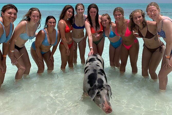 Bahamas Swimming Pigs Experience on Rose Island - The staff can make or break the day