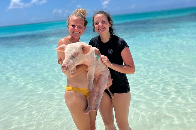 Bahamas Swimming Pigs Experience on Rose Island - Who will enjoy this Rose Island outing?