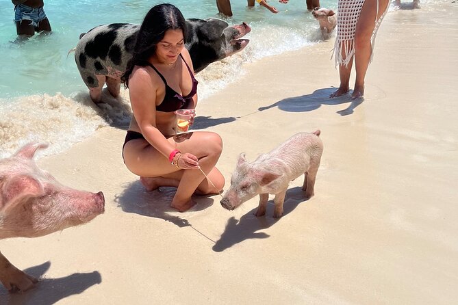 Bahamas Swimming Pigs Experience on Rose Island - Booking, weather, and timing advice