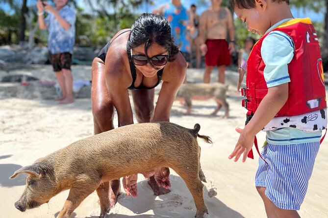 Bahamas Swimming Pigs Experience on Rose Island - Meeting the pigs at the shoreline