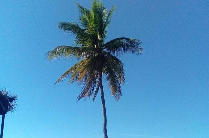 Big Bus Private Tour (minimum of 15) - Fort Fincastle and Nassau’s defensive past