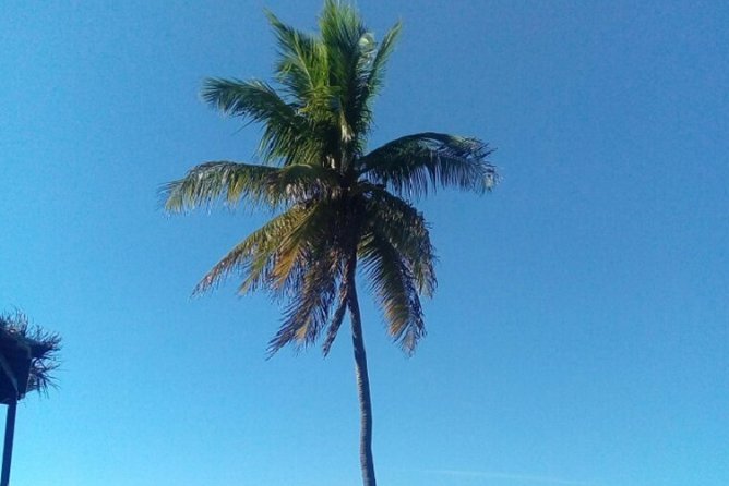Big Bus Private Tour (minimum of 15) - Atlantis: one hour for a very large resort complex