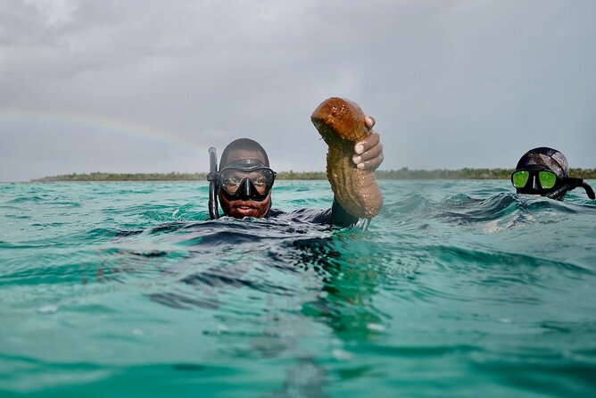 Blue hole, drift snorkeling, turtles Celebration Key is welcome - The turtle park is a viewing stop, not a swim