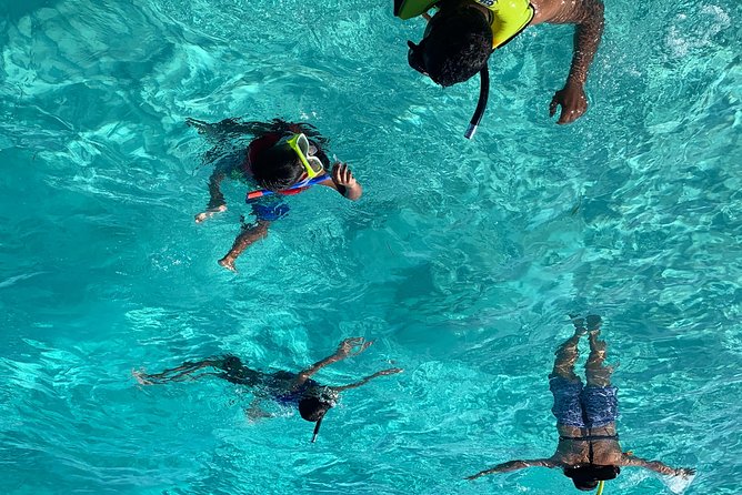 Bluefinn242 Swim with the Turtles in Nassau Bahamas - Key points about the Turtle Island trip
