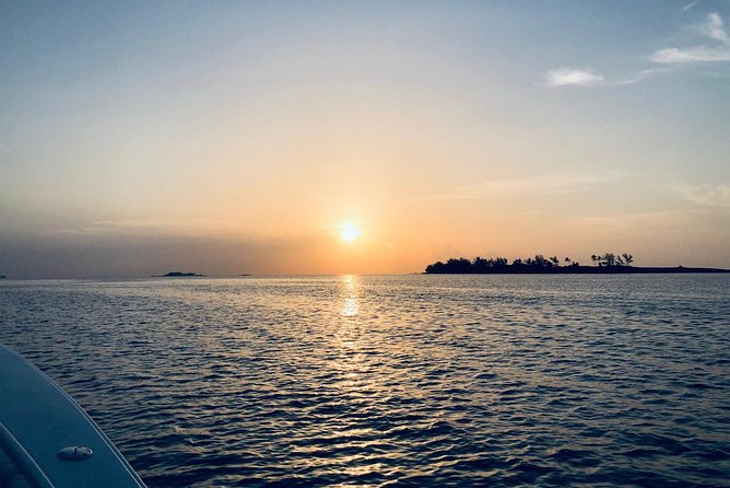 Bluefinn242 Swim with the Turtles in Nassau Bahamas - Why the private format matters