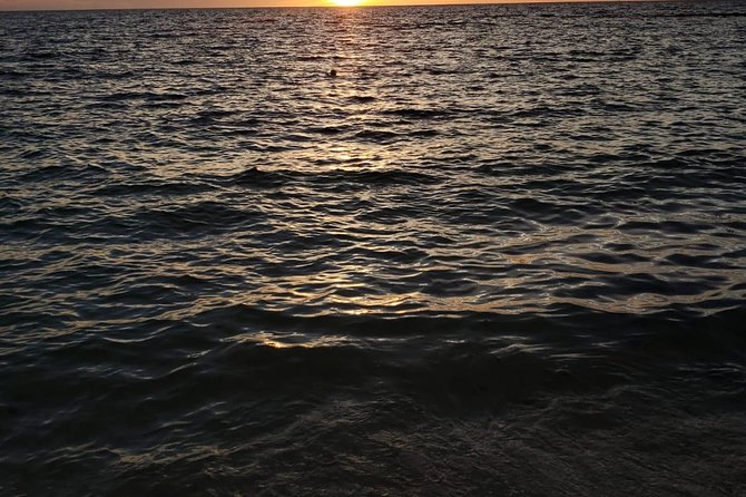 Bluefinn242 Swim with the Turtles in Nassau Bahamas - What is included for the $128.21 price