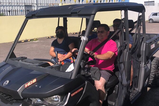 Buggy Rental (with Drop-off, Pick-up around New Providence) - Choosing Between a Small Buggy and a Six-Seat Side-by-Side