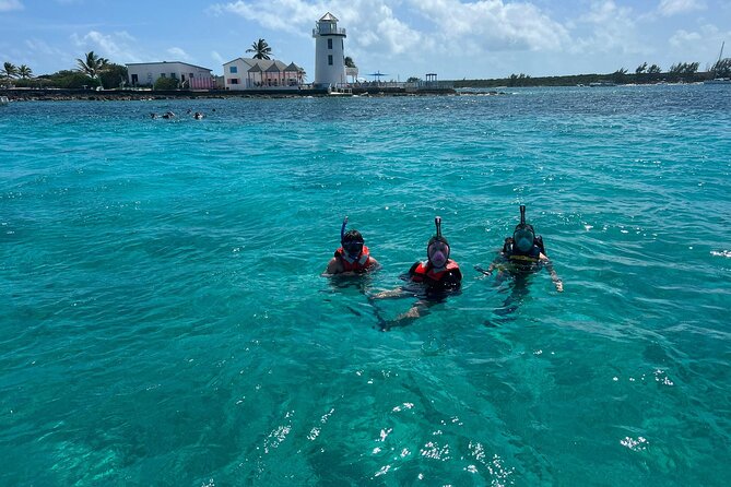 Catamaran Snorkel & Beach Day with Turtles - A Harbor Tour With Nassau in View