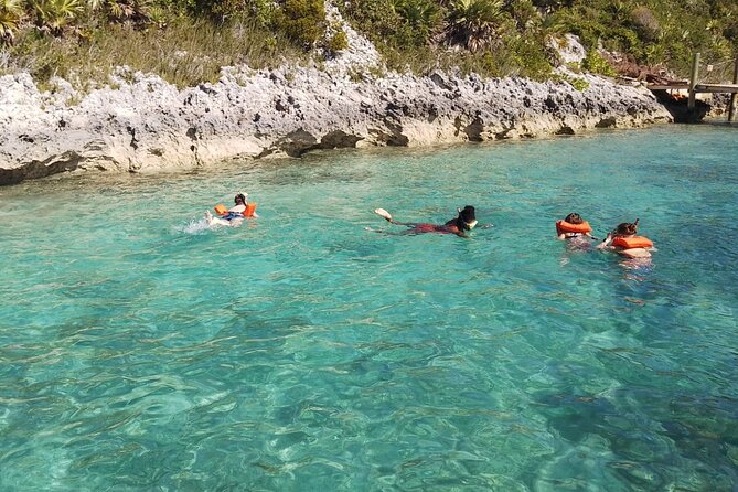 Catamaran Snorkel & Beach Day with Turtles - Reef Snorkeling Near Atholl Island