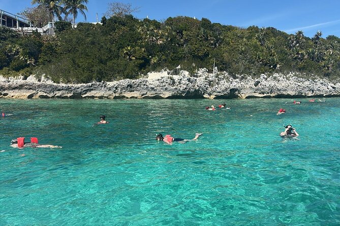 Catamaran Snorkel & Beach Day with Turtles - Thirty Minutes At Gilligan’s Island Beach