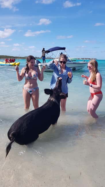 Center Console Private Bahamas Boat Charter - Five Things To Know Before You Book