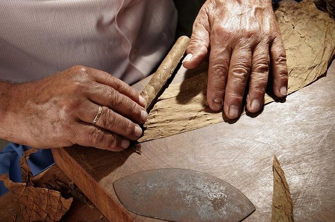 Cigar Rolling Lesson in Nassau - The guide can make or break the outing