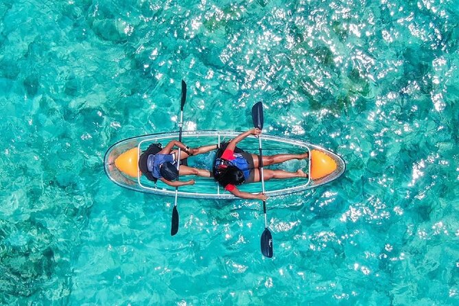 Clear Kayak Tour - Key points to know before you book
