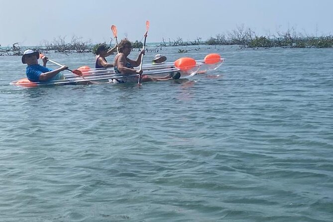 Clear Kayak Tour - Who should book this Grand Bahama outing?