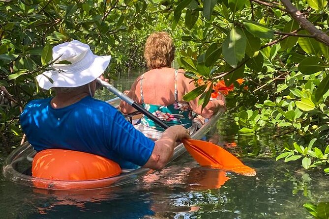 Clear Kayak Tour - Booking, timing, and cancellation advice
