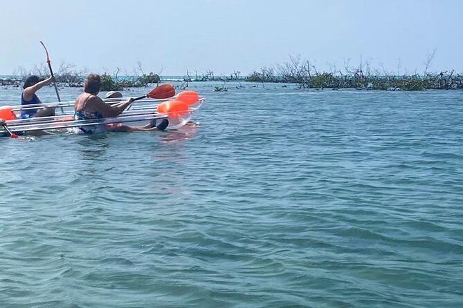 Clear Kayak Tour - What happens before you paddle