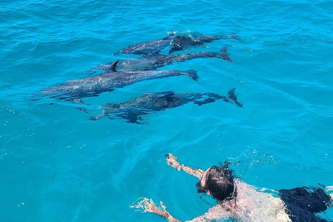 Create-Your-Own Luxury Adventure in Bimini with photographer - Starting in Alice Town at the Dolphin House Museum