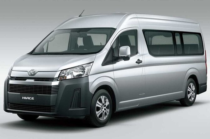 Custom Family and Small Group Transfers for Comfortable Journeys - Arrival, luggage help, and the end of the ride
