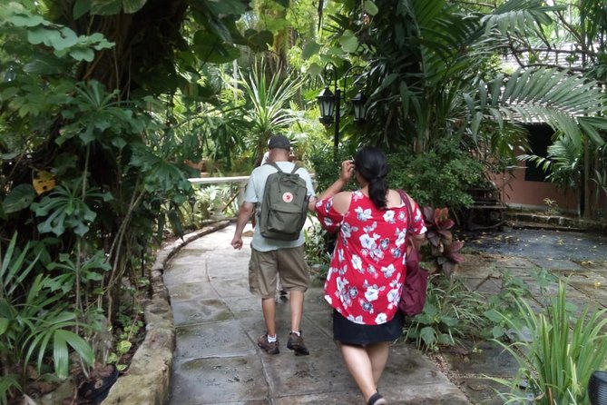 Dilly Dally Walking Tour of Nassau Attractions - Why this Nassau walk works so well