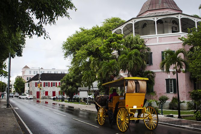 Dilly Dally Walking Tour of Nassau Attractions - Graycliff Chocolatier and wine tasting