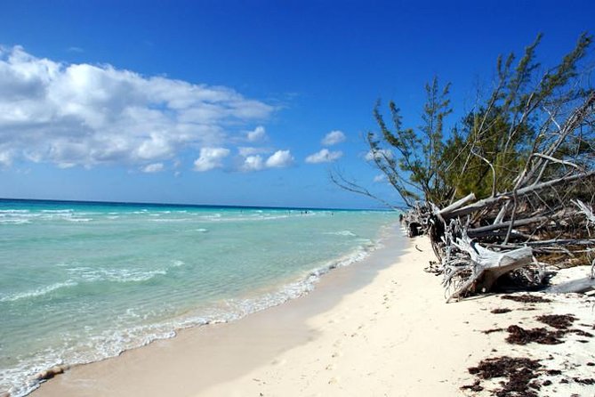 East End Private Day Trip Experience Tour - Key things to know before you book