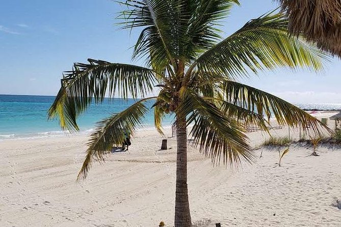 East End Private Day Trip Experience Tour - Taino Beach for public-park life and fresh conch