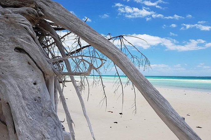 East End Private Day Trip Experience Tour - Lucayan National Park and the long-awaited Gold Rock Beach