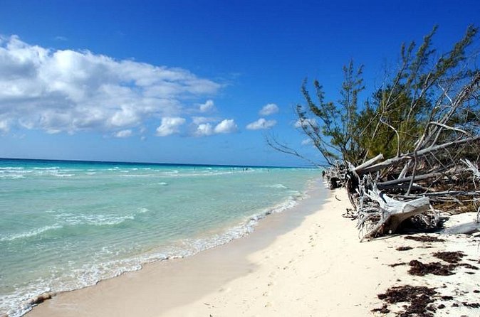 East End Private Day Trip Experience Tour - What the $270 price really covers