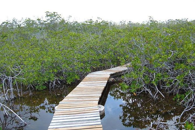 East End Private Day Trip Experience Tour - Starting in Freeport with beer, rum, and island context