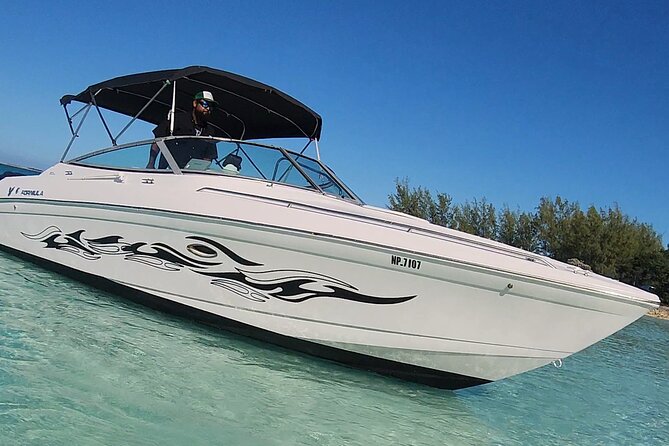 Exotic half day private charters to Rose Island, Pigs and Turtles - Swimming pigs come with a separate bill