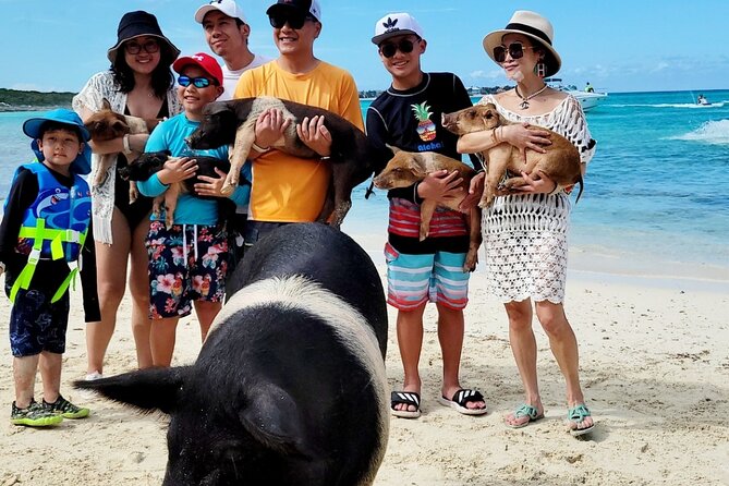 Exotic half day private charters to Rose Island, Pigs and Turtles - Food, drinks, and the limits of a half-day