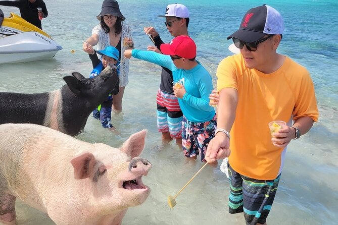 Exotic half day private charters to Rose Island, Pigs and Turtles - Who will enjoy this Rose Island charter