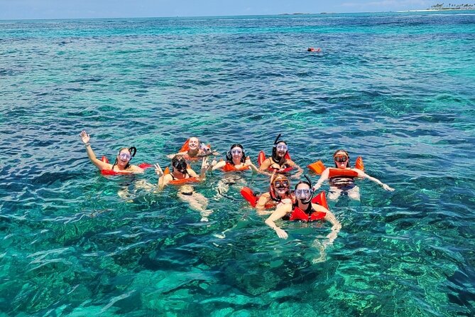 Exotic half day private charters to Rose Island, Pigs and Turtles - Rose Island gives the outing its breathing room