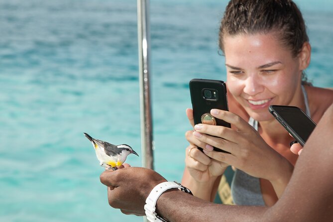 Experience The Exumas and the World Famous Swimming Pigs - Why the Exumas make this a big day from Nassau