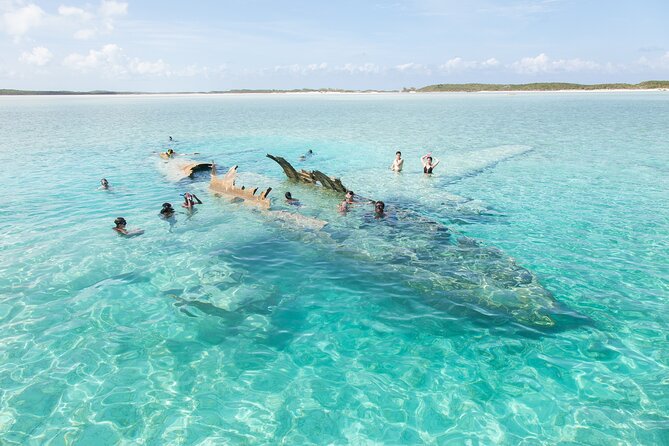 Experience The Exumas and the World Famous Swimming Pigs - Compass Cay and its gentle nurse sharks