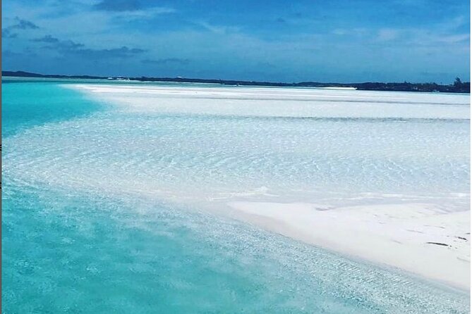 Experience The Exumas and the World Famous Swimming Pigs - Is $439 a fair price?