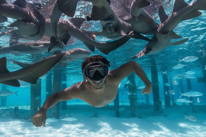 Experience The Exumas and the World Famous Swimming Pigs - The speed boat ride: thrilling, useful, and sometimes rough
