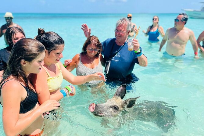 Exuma Day Away - Original Swimming Pigs Excursion - Key points to know before booking
