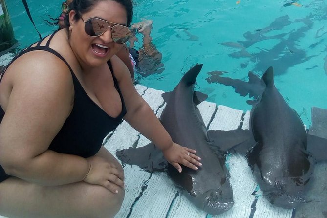 Exuma Day Away - Original Swimming Pigs Excursion - Big Majors Cay and the original swimming pigs