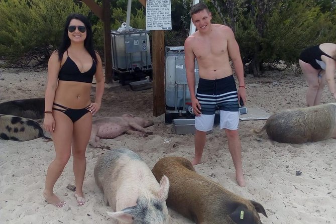 Exuma Day Away - Original Swimming Pigs Excursion - Sandbars, Exuma Cays, and the Pablo Escobar plane