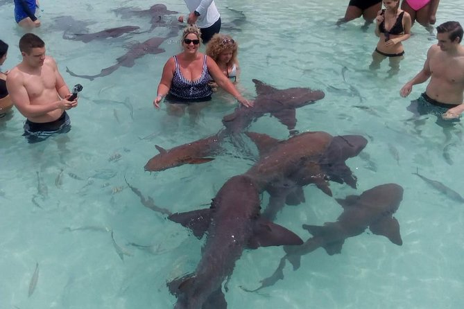 Exuma Day Away - Original Swimming Pigs Excursion - Lunch at Black Point Yacht Club