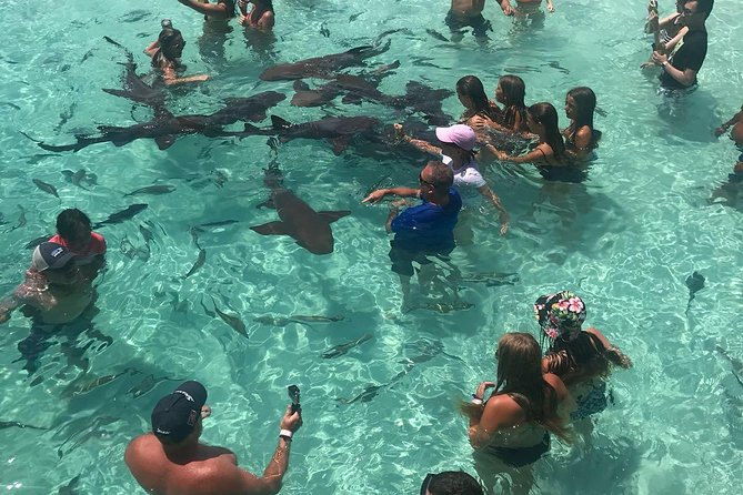 Exuma Day Away - Original Swimming Pigs Excursion - Crew, group size, and the feel of the day