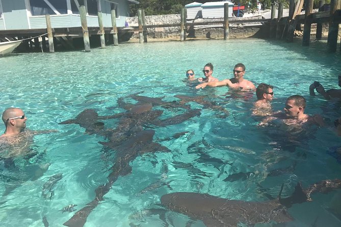 Exuma Day Away - Original Swimming Pigs Excursion - What the power boat ride is really like
