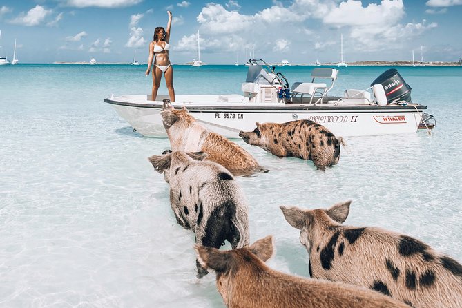 Exuma Elite Escape: Luxury Fly-In Pig Beach Adventure - 7 Stops - The best parts of the Exuma Elite Escape