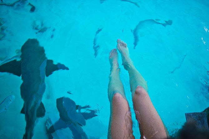 Exuma Elite Escape: Luxury Fly-In Pig Beach Adventure - 7 Stops - The Exuma Sand Bar: the quietest stop