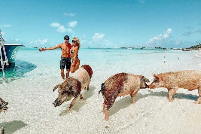 Exuma Full Day Swimming Pigs Group Boat Tour - The day in six useful points