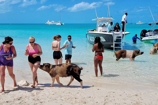 Exuma Full Day Swimming Pigs Group Boat Tour - A Bahamian buffet at Black Point