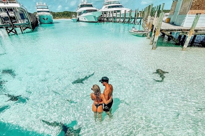 Exuma Full Day Swimming Pigs Group Boat Tour - The $499 price and what you receive