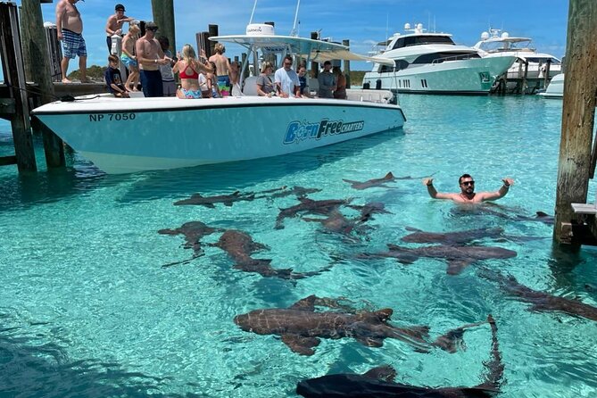 Exuma Island Hopping Swimming Pigs Tour with Lunch from Nassau - Six things to know before you book